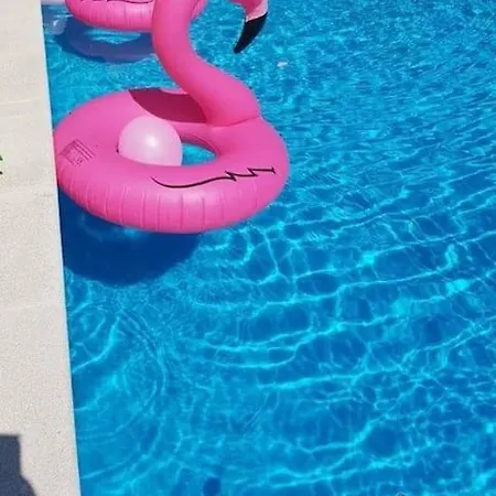 Ferias Felizes Em Familia/com Amigos