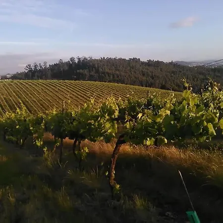 Ferias Felizes Em Familia/com Amigos *