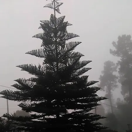 Ferias Felizes Em Familia/com Amigos 펜션 Macieira da Lixa