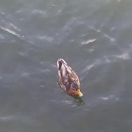 Ferias Felizes Em Familia/com Amigos