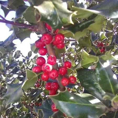 Ferias Felizes Em Familia/com Amigos *