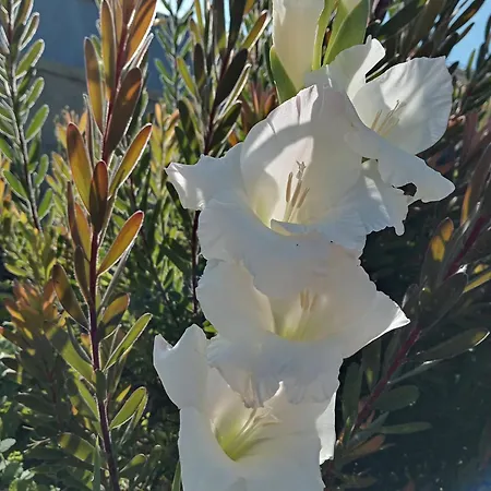 펜션 Ferias Felizes Em Familia/com Amigos Macieira da Lixa