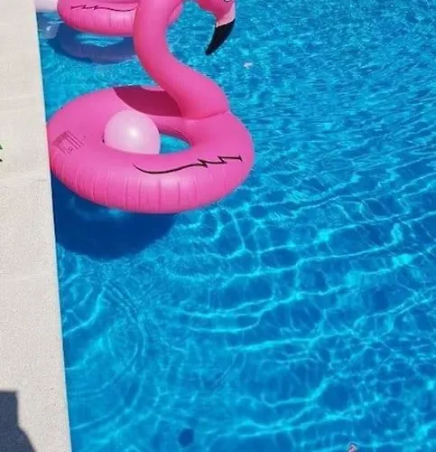 Ferias Felizes Em Familia/com Amigos