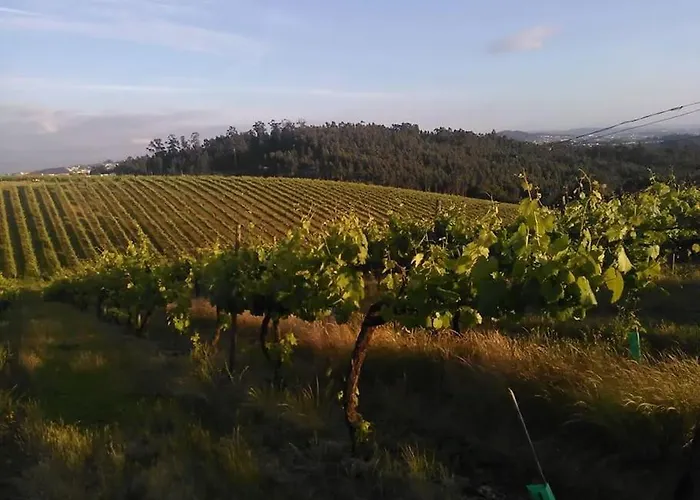 Ferias Felizes Em Familia/com Amigos *