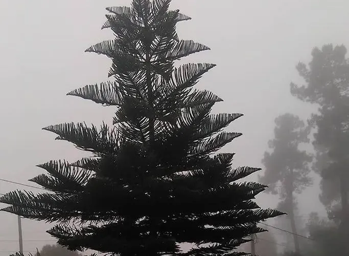 Ferias Felizes Em Familia/com Amigos Tatil Evi Macieira da Lixa