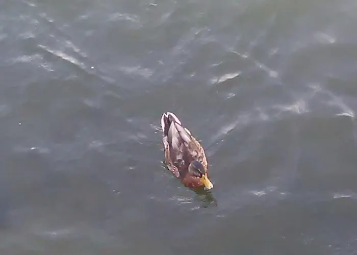 Ferias Felizes Em Familia/com Amigos