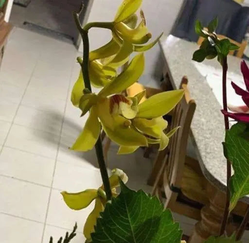 Ferias Felizes Em Familia/com Amigos